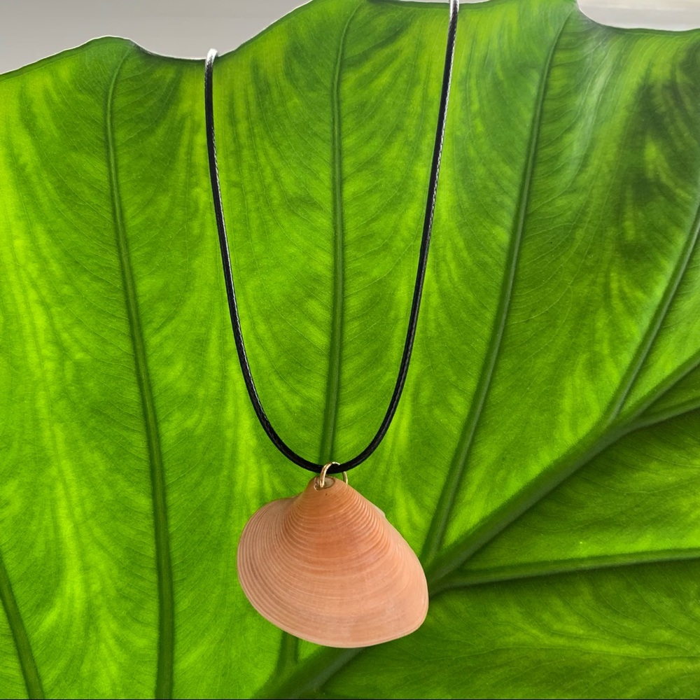 Earthy Shell Necklace
